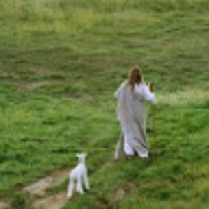 Meet your Posher, Martha